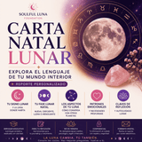 Soulful Reportes (Servicios Personalizados) - Soulful Luna Foundation